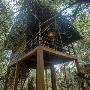 On The Tree Eco Sigiriya