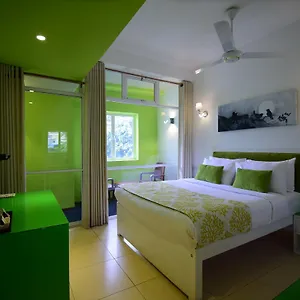 thilhara-days-inn.negombohotels.net/