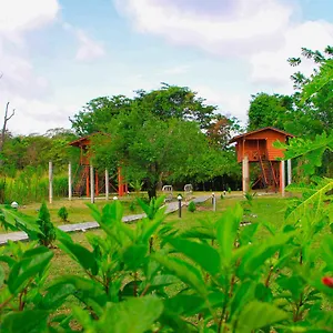 Sigiri Royal Point Tree House Sigiriya